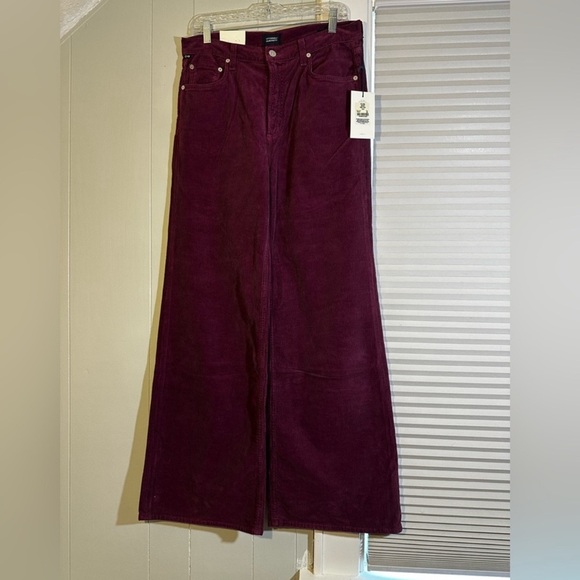 Citizens of Humanity Paloma Corduroy Pants |High Rise |Wide Leg | Size 30 - Picture 5 of 7